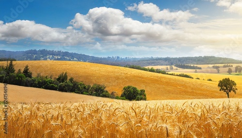 golden wheat field  vast agriculture landscape with golden wheat fields  farming  Ai Generate