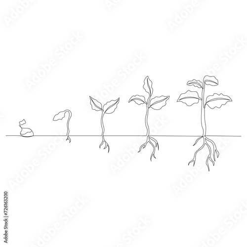 One line drawing plant growth processing outline vector illustration