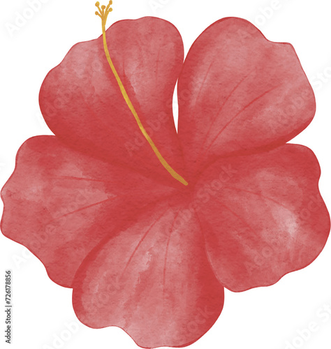 watercolor chaba flower cute element photo