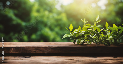 Wood table top on blur green forest background with bokeh light