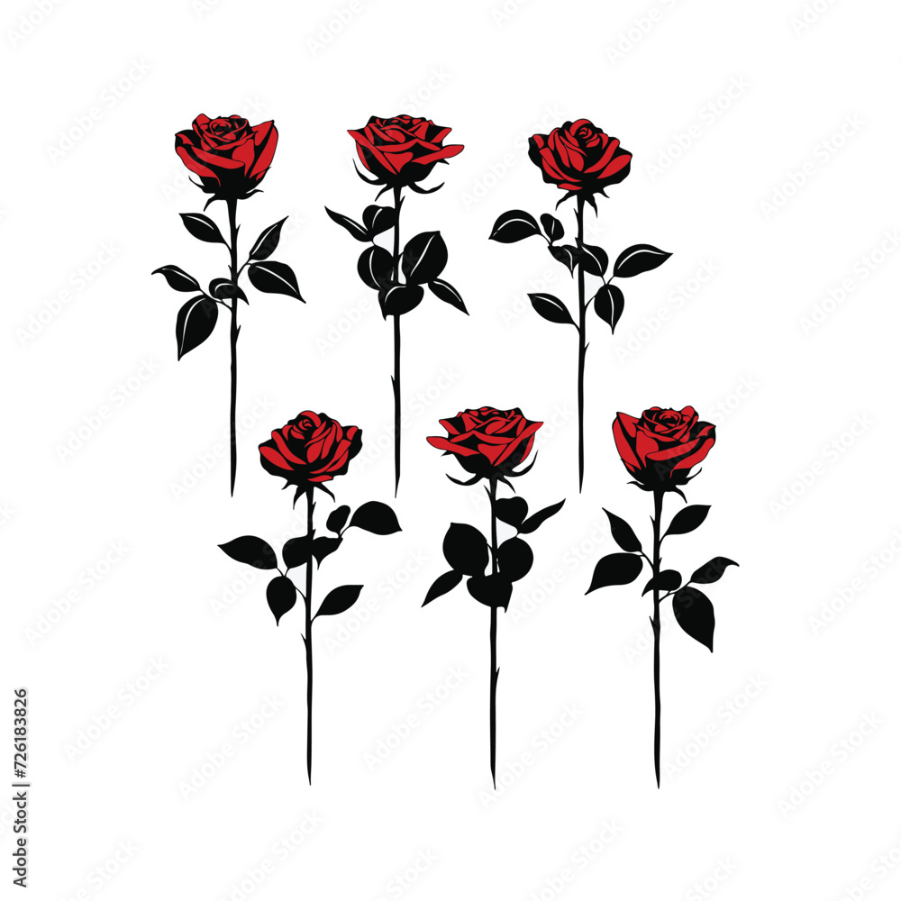Red Rose Illustration set Red Rose Illustration set
