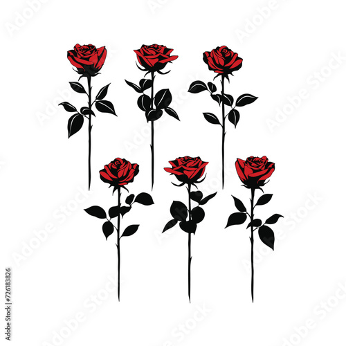 Red Rose Illustration set
