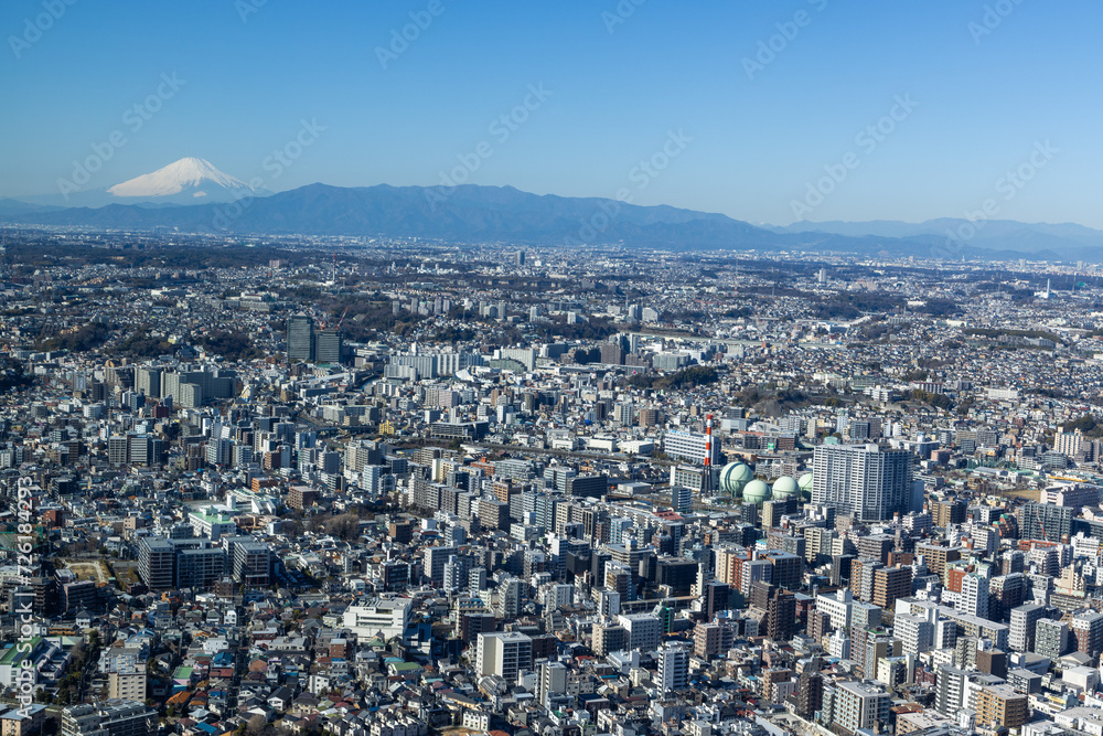 penguins on the rocks