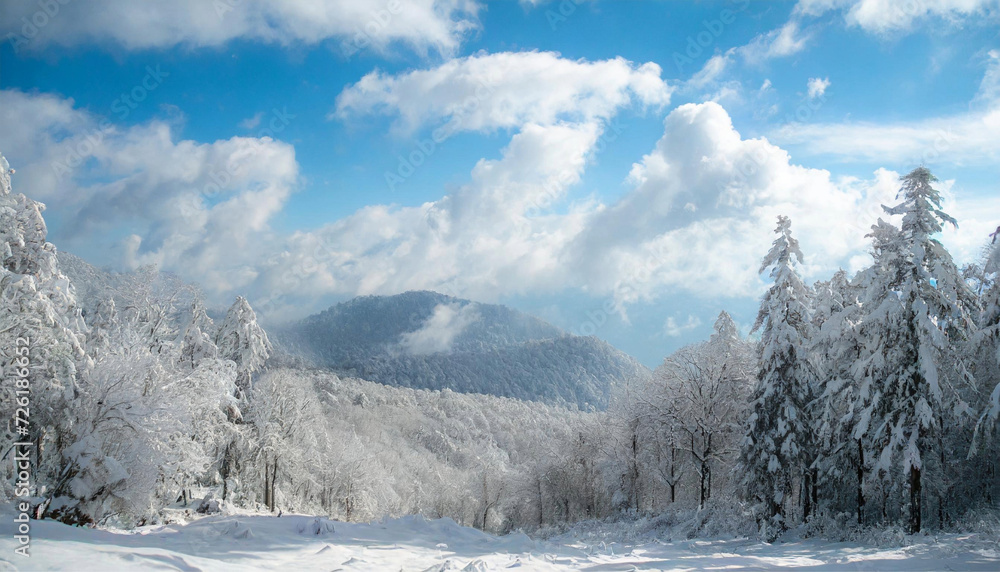 snowy forest with a clear, bright  and blue sky and puffy white clouds; suitable for background or wallpaper