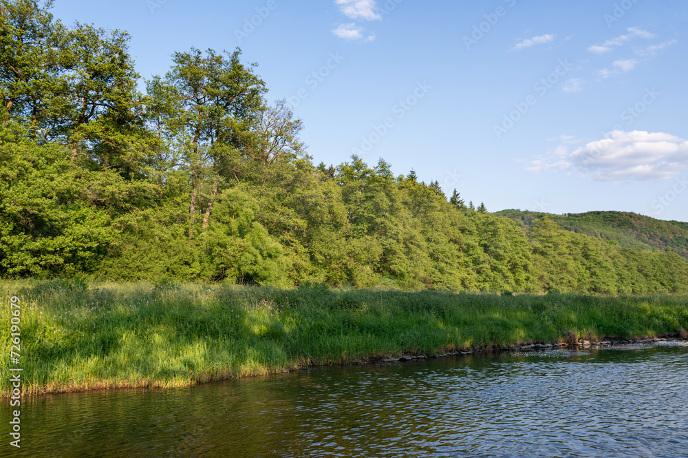 Fototapeta premium River landscape - River bank with green grass and trees