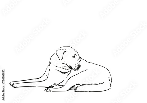 Lying dog sadly looking back hand drawn illustration, evoking pity and waiting for someone dog, vector freehand sketch black pen on white