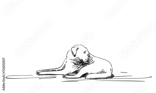 Lying dog sadly looking back hand drawn illustration, pet evoking pity and waiting for someone, vector freehand sketch black pen on white