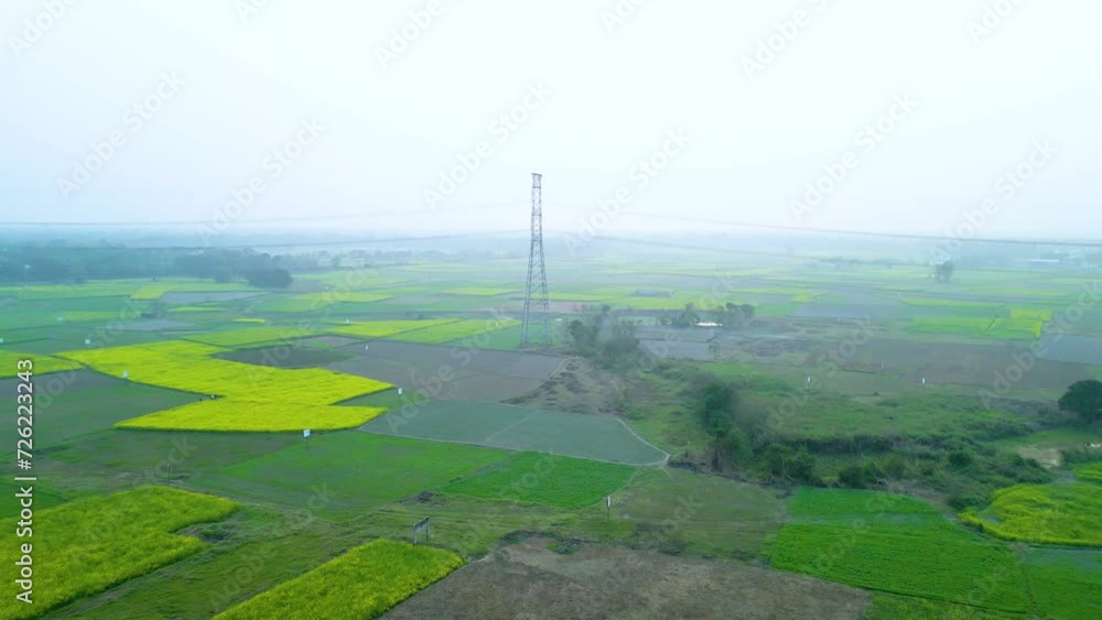 Aerial view of yellow and green field landscape Aerial view of yellow and green field landscape