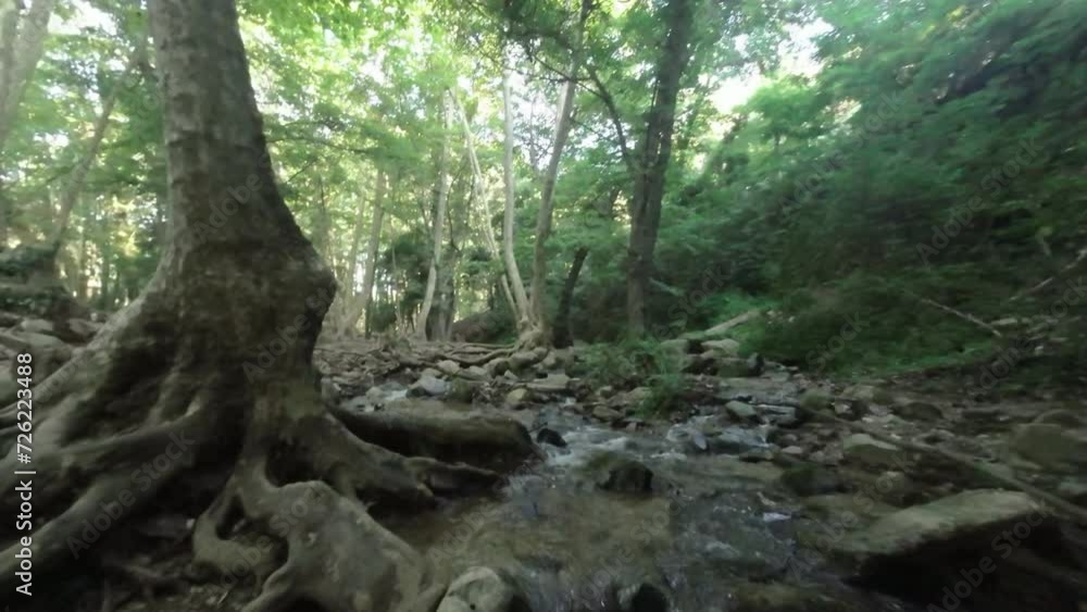 FPV drone fly through the forest over the creek towards the bridge FPV drone fly through the forest over the creek towards the bridge