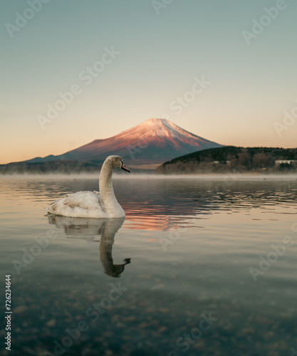 Photography Mt Fuji Japan on December