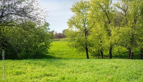 Spring landscape in the park. Green grass on the meadow