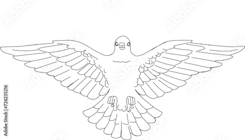 Vector sketch illustration logo design icon of holy white dove flying through the sky