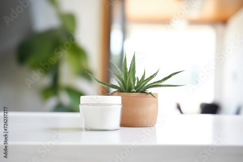 close-up on a skincare cream jar with aloe vera plant in the background