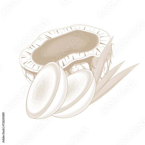 Vector illustration logo Simple line art for Javanese sugar or gula jawa