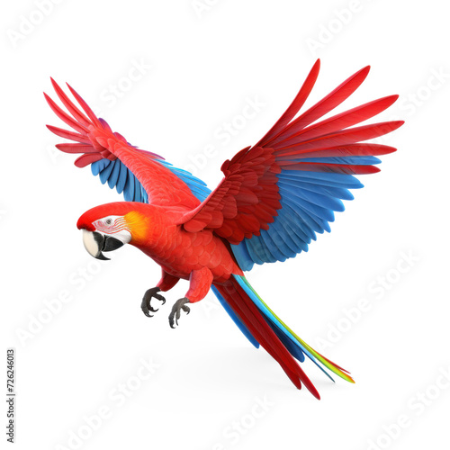 full body scarlet macaw with red body on transparency background PNG © KimlyPNG