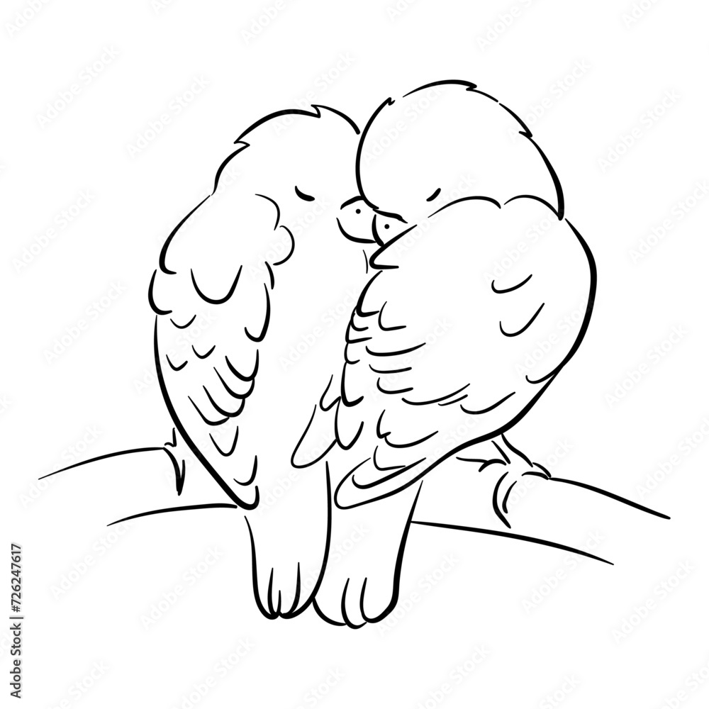 Line illustration of a pet parrot, illustration with stroke . The parrot is talking. A couple of parrots in love. Line illustration of a pet parrot, illustration with stroke . The parrot is talking. A couple of parrots in love.