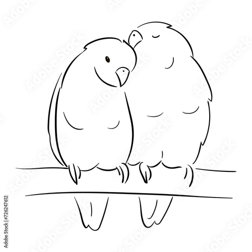 Line illustration of a pet parrot, illustration with stroke . The parrot is talking. A couple of parrots in love.