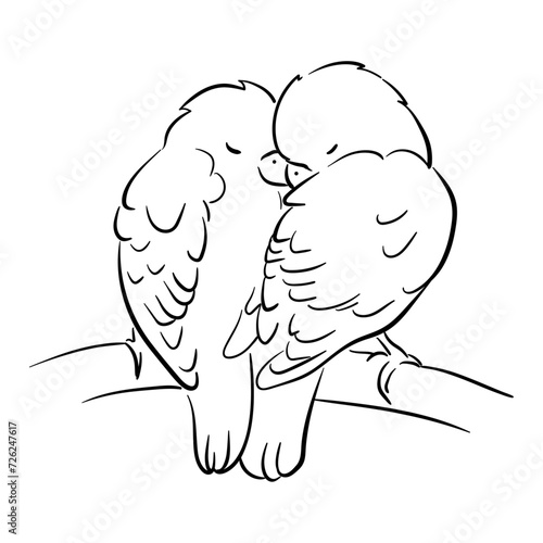 Line illustration of a pet parrot, illustration with stroke . The parrot is talking. A couple of parrots in love.