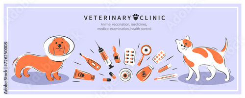 Veterinarian clinic or hospital for animals. Animal vaccination, medicines, medical examination, health control. Treatment of cats and dogs. Vector illustration