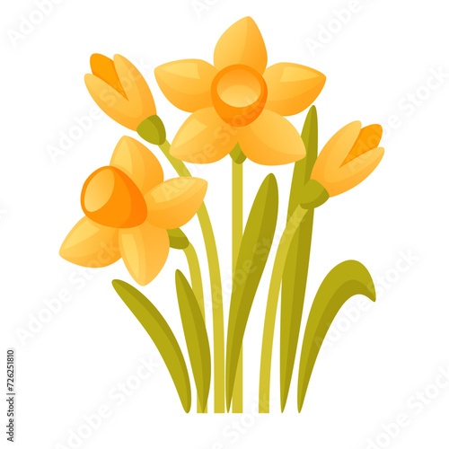Vector set of yellow daffodils on a white background. Early spring garden flowers.