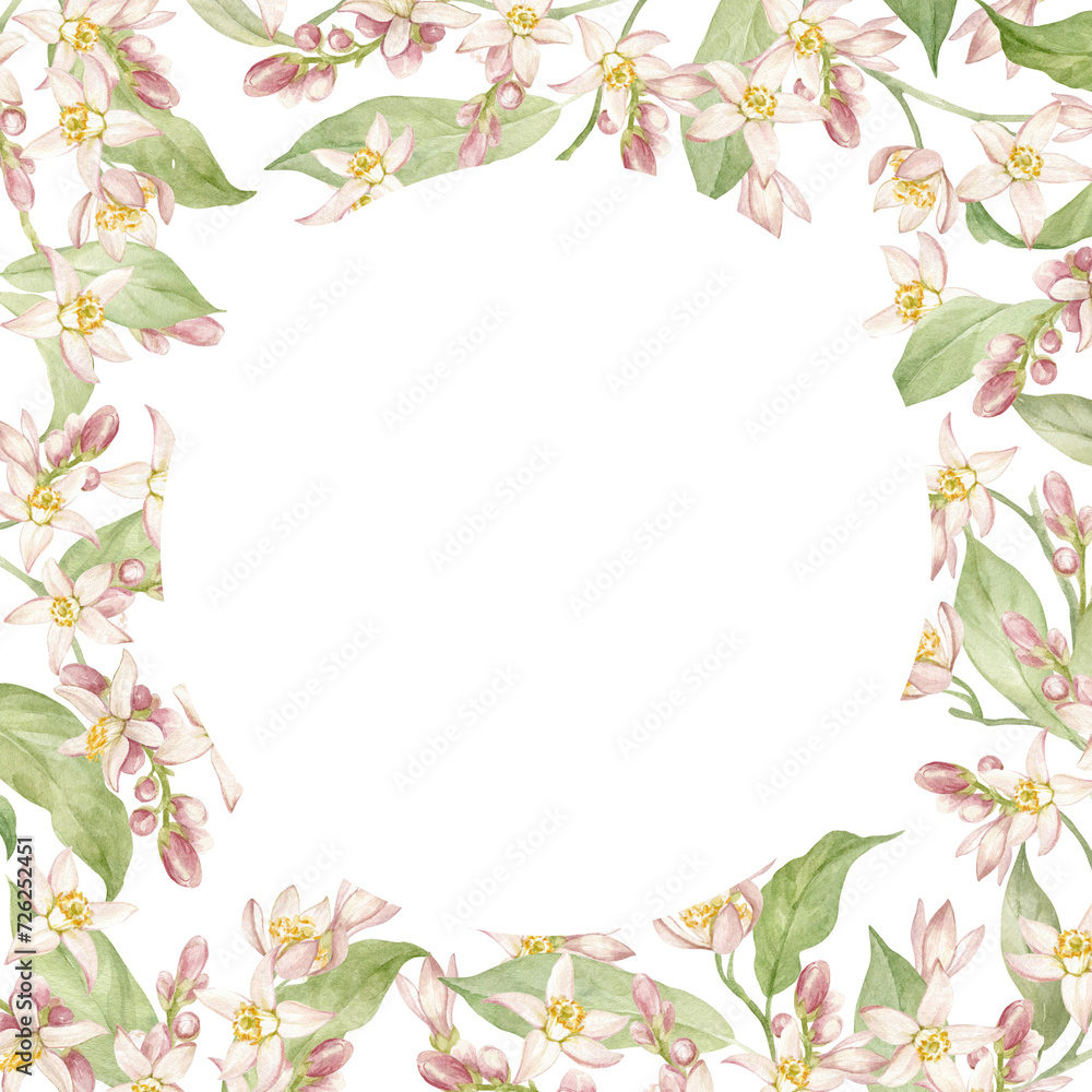 Frame of watercolor lemon branches with fragrant flowers. Hand drawn, isolated