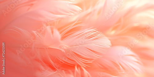 Abstract background with birds feathers pastel colors