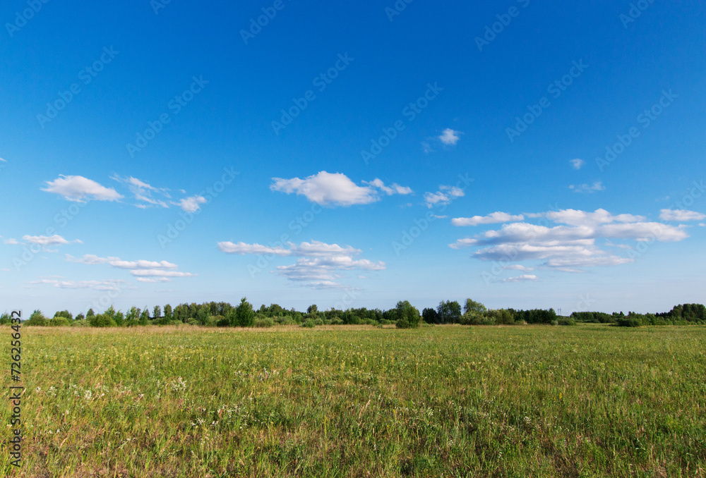 Beautiful, typical, rustic, summer landscape. Field with green grass, trees and bushes in the background. Blue sky with white clouds. Plain. Beautiful, typical, rustic, summer landscape. Field with green grass, trees and bushes in the background. Blue sky with white clouds. Plain.