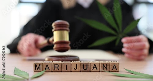 Judge holds green marijuana leaf in courtroom photo