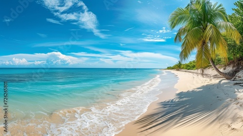 Wide panoramic shot of idyllic beach with palms