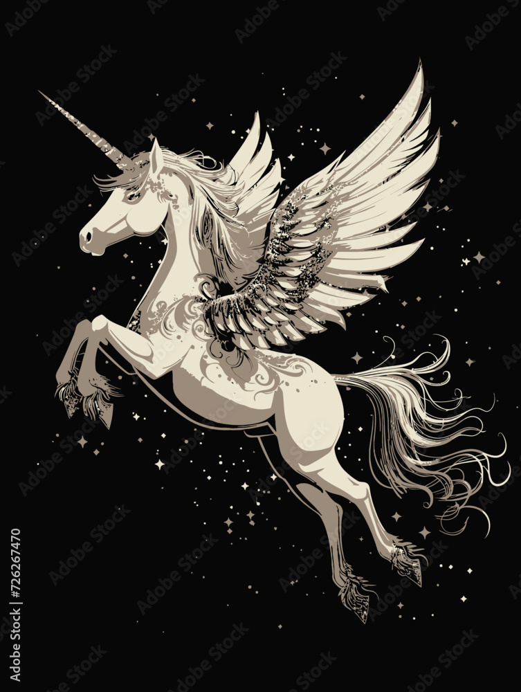 Fotografie Pegasus Wings Illustration on Black