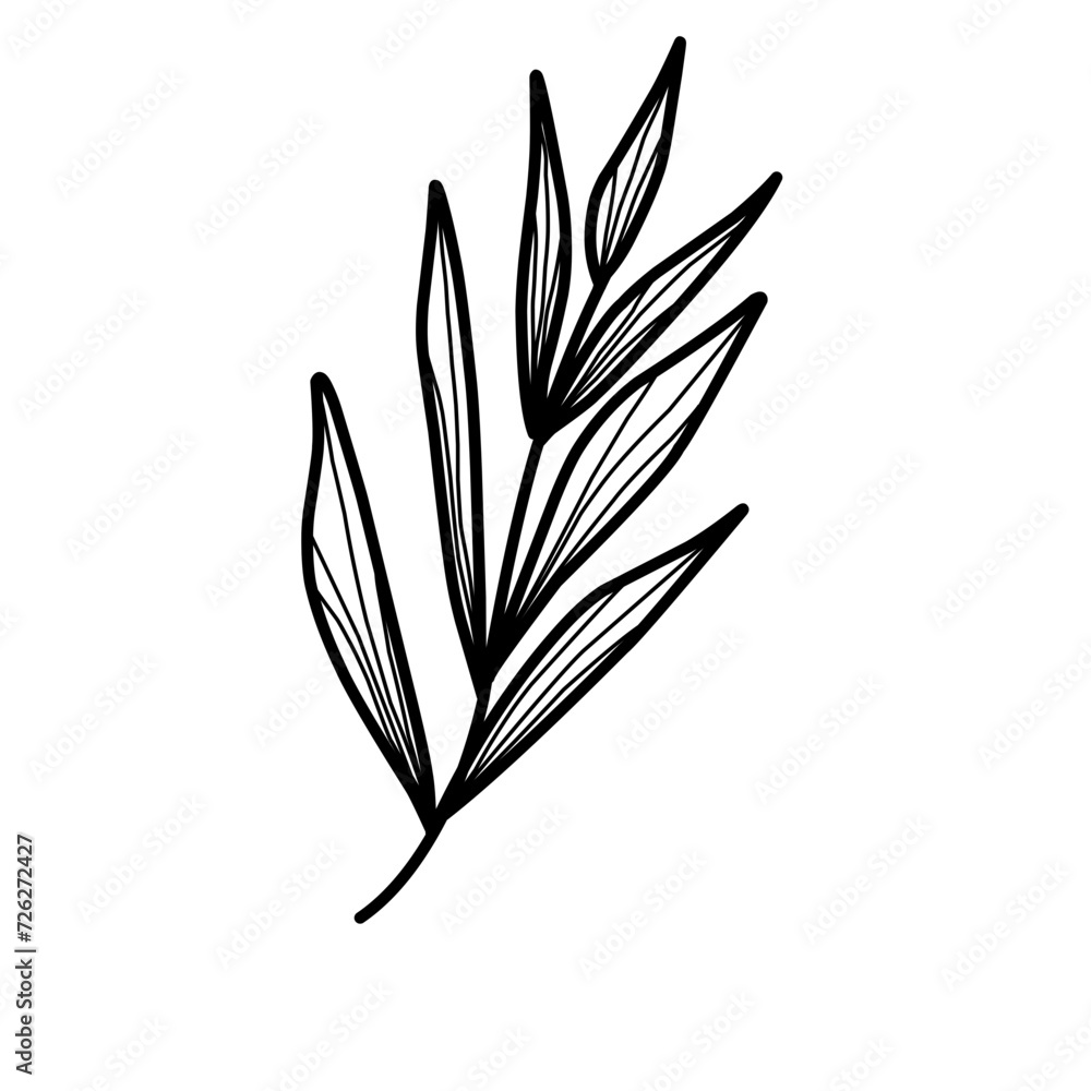 Fototapeta premium wheat isolated on white