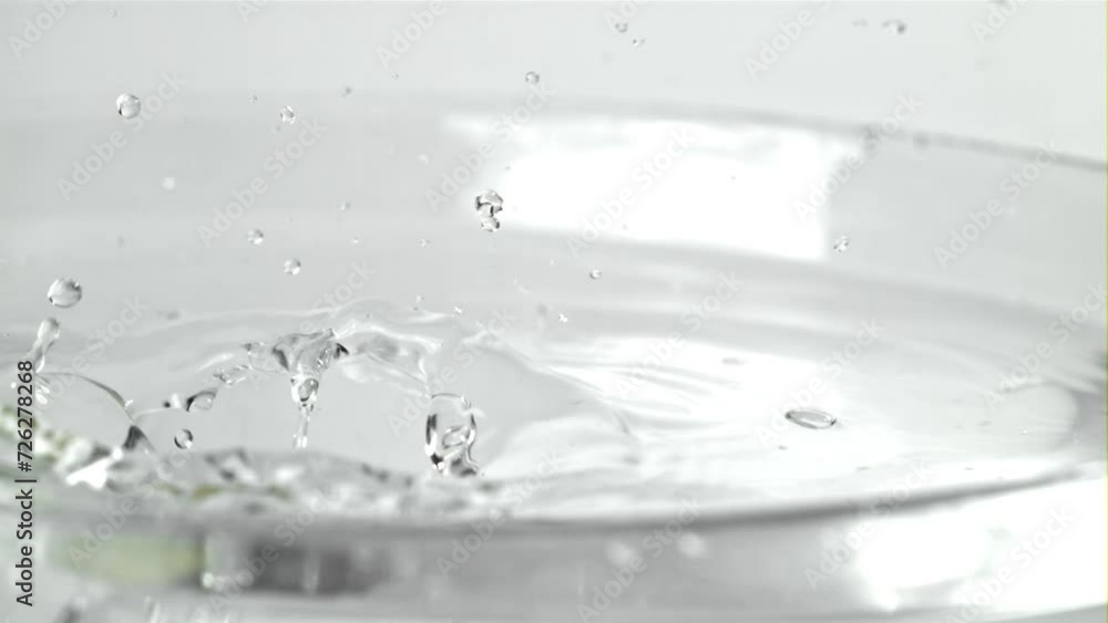 The Vongole falls into the water with splashes. Filmed on a high-speed camera at 1000 fps. High quality FullHD footage The Vongole falls into the water with splashes. Filmed on a high-speed camera at 1000 fps. High quality FullHD footage