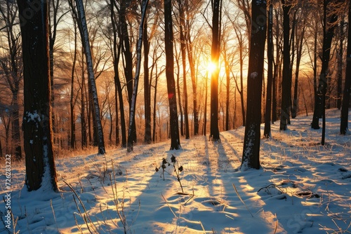 Sunset in the wood in winter period tree and snow © Eyepain