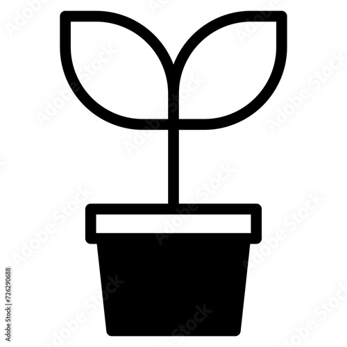 plant in pot