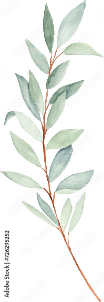 Fototapeta premium Watercolor olive leaves