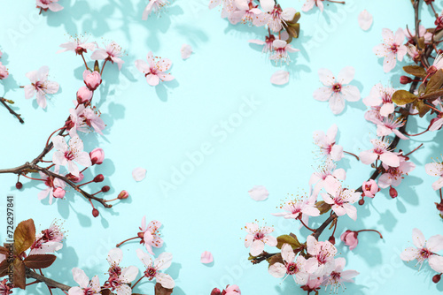 Spring twigs with flowers on a blue background. © Atlas