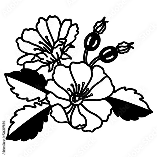 Wild Rose flower glyph and line vector illustration