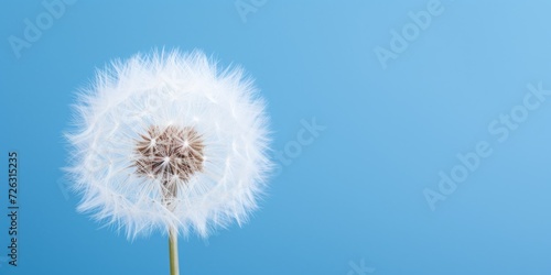 Delicate White Dandelion Stands Out Against A Vibrant Blue Backdrop. Сoncept Dreamy Nature Landscapes, Energetic Sports Action Shots, Magical Sunset Silhouettes, Quirky Urban Street Photography