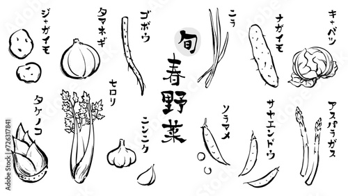 春野菜の和風ベクターイラストセット（白黒）。