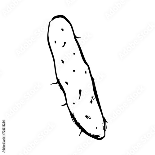 長芋の和風ベクターイラスト（白黒）。