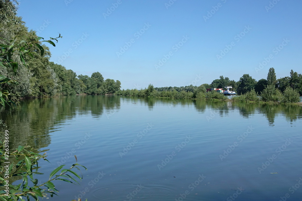 Obraz premium Rhein am Rheingaus