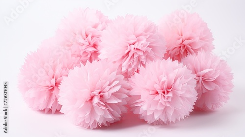 Pink pom poms with white background