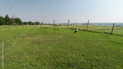 Fototapeta Naklejka Na Ścianę i Meble -  DCIM\100MEDIA\DJI_0234.JPG