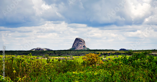 Savanna landscape in Bahia, Sertao, Brazil, South America. photo