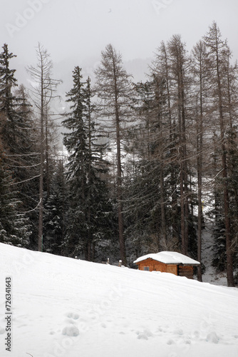 A log cabin located at the ski resort of Val-Cenis, France © DeStefano