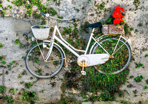 green wall decorated with old vintage colorful bicycle with flower pots and art photo