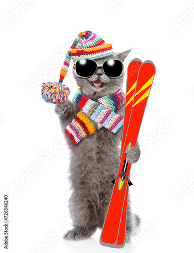 Happy cat wearing sunglasses and warm woolen  hat with pompom and knitted scarf holds skis in it paw. Isolated on white background © Ermolaev Alexandr