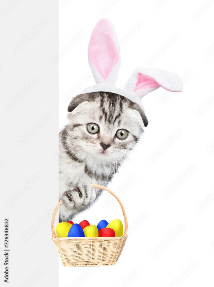 Cute kitten wearing easter rabbits ears holds basket with colorful easter eggs and looks from behind empty white banner. Isolated on white background