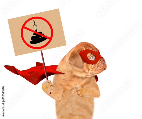 Funny Mastiff puppy wearing superhero costume holds sign "no dog poop" and looks away on empty space. Concept cleaning up dog droppings. Isolated on white background