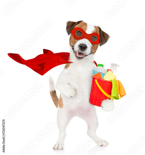 Funny jack russell terrier puppy wearing superhero costume holds bucket with washing fluids. Isolated on white background